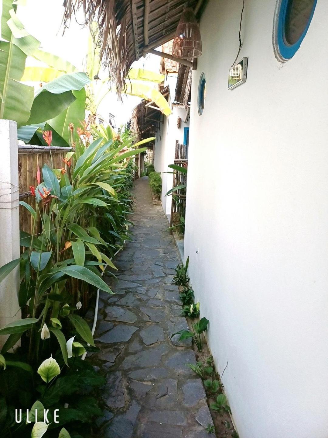 Cashew Tree Bungalow Хоян Екстер'єр фото