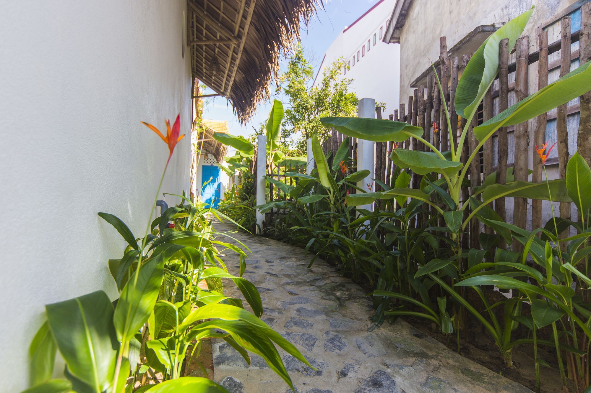 Cashew Tree Bungalow Хоян Екстер'єр фото