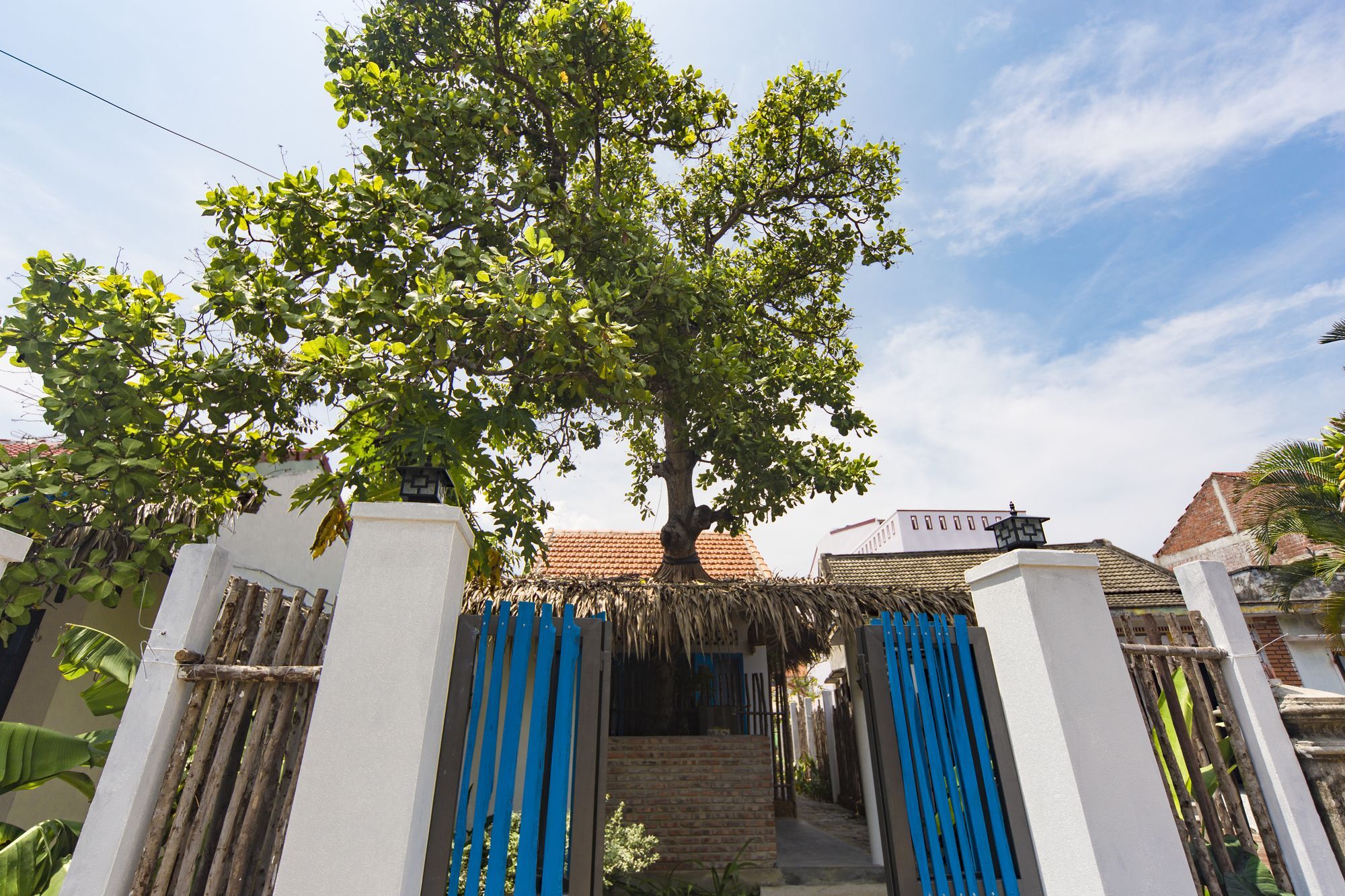Cashew Tree Bungalow Хоян Екстер'єр фото
